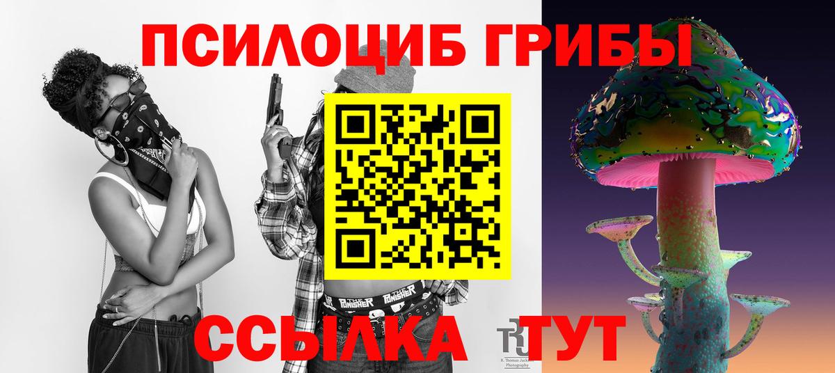Галлюциногенные грибы прущие грибы Арзамас